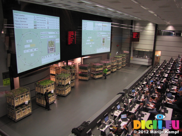 SX23933 Auction clocks at Bloemenveiling Aalsmeer FloraHolland Flower Auction